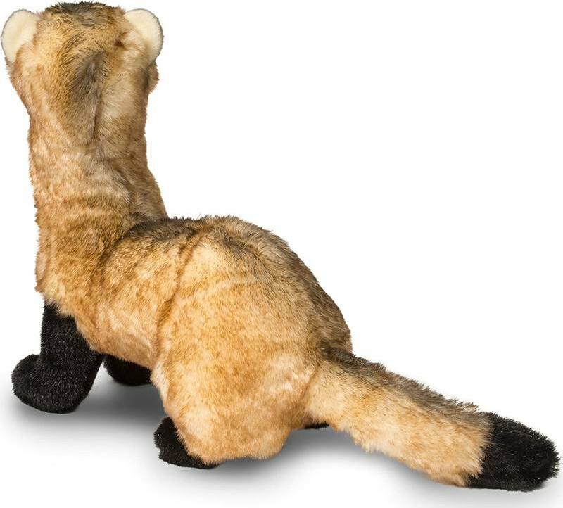Vince Black Footed Ferret