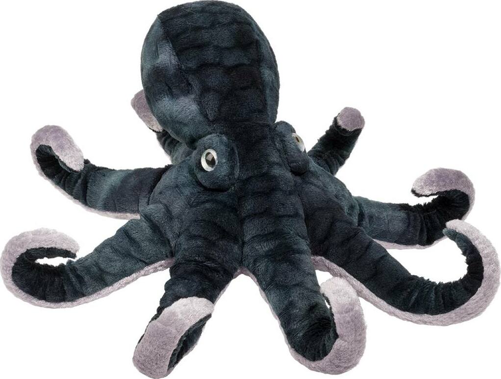 Winky Octopus