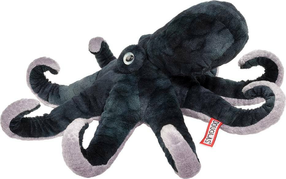 Winky Octopus