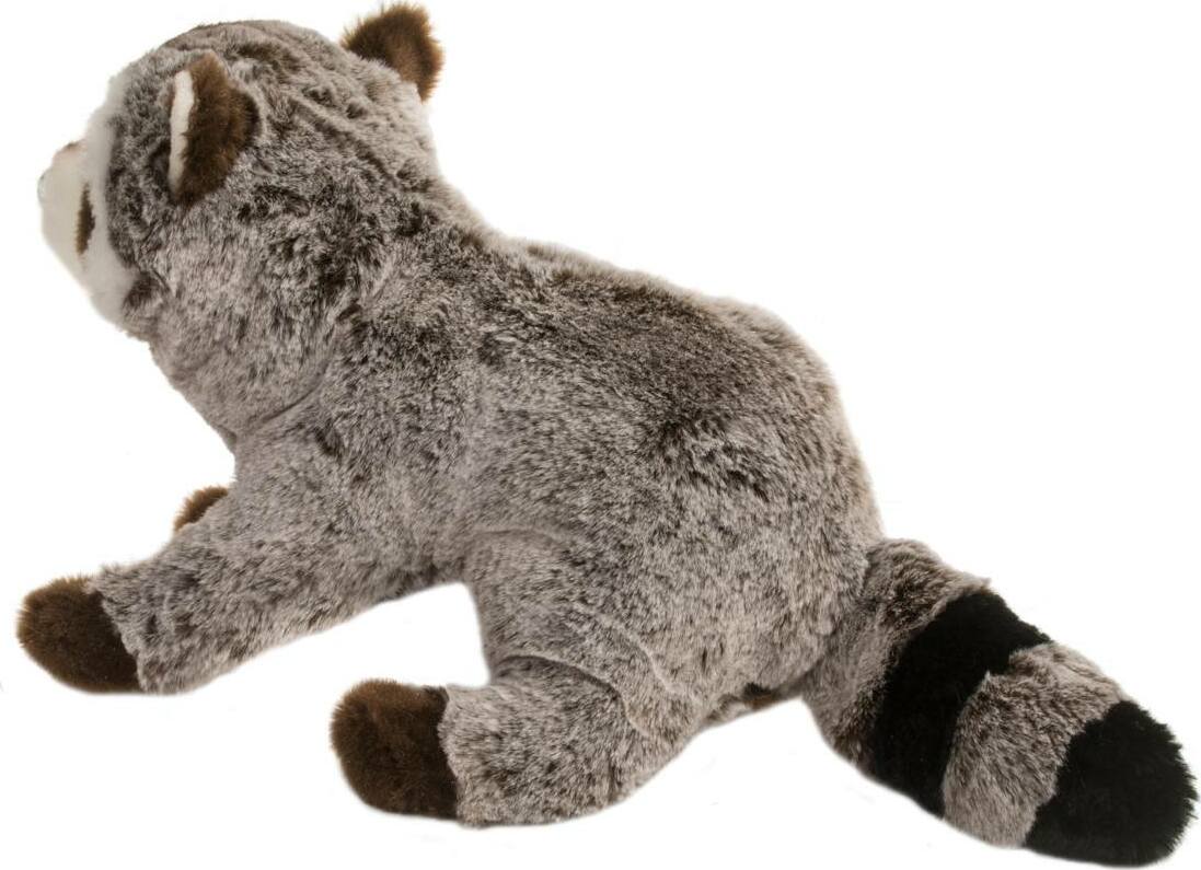 Ringo Raccoon