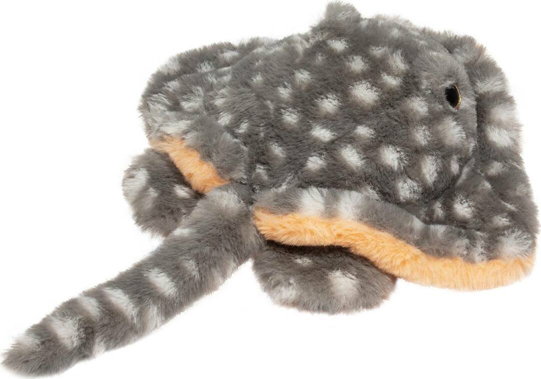 Stella Stingray