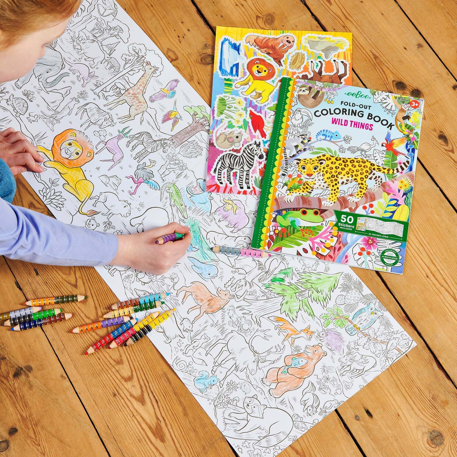 Wild Things (fold-out coloring book with stickers)