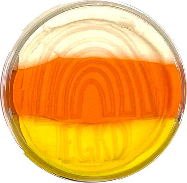 Candy Corn Half Pound Sensory Play Dough