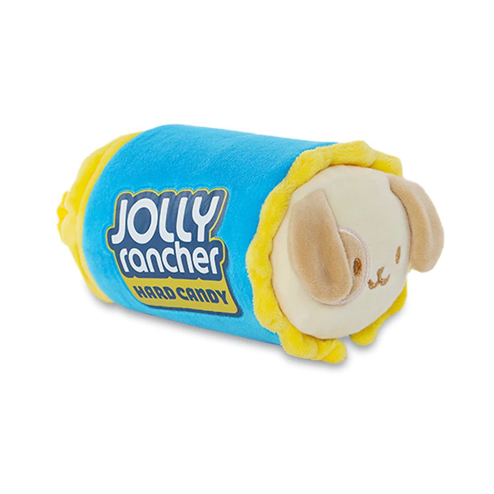 Jolly Rancher Puppiroll Blanket - Small