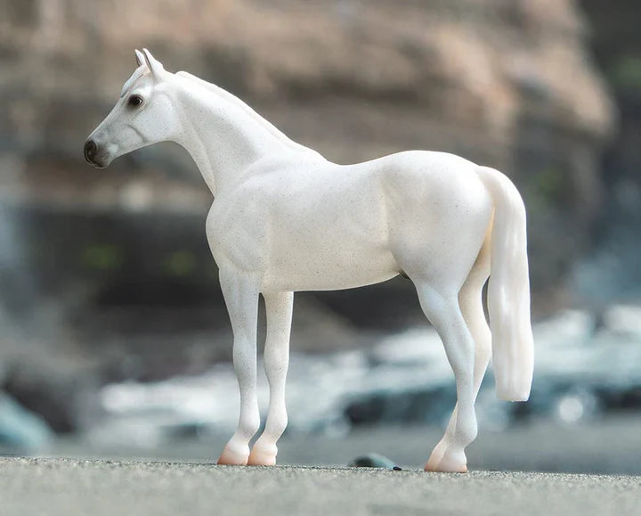 Grey Thoroughbred horse of my own