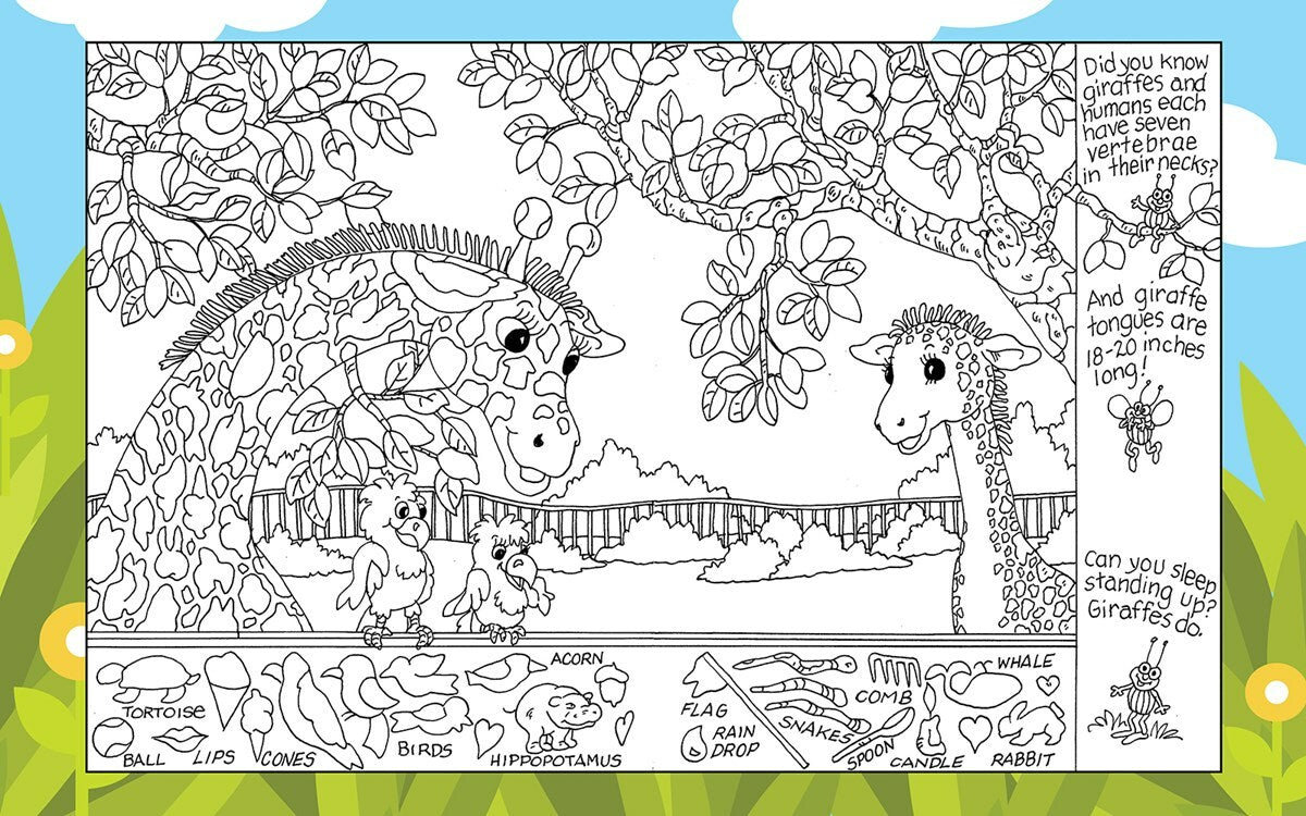Hidden Picture Puzzles at the Zoo