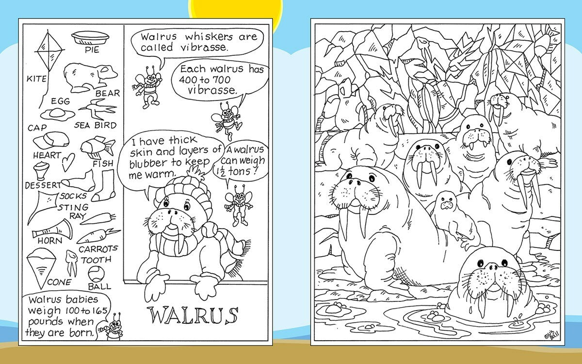 Hidden Picture Puzzles at the Zoo