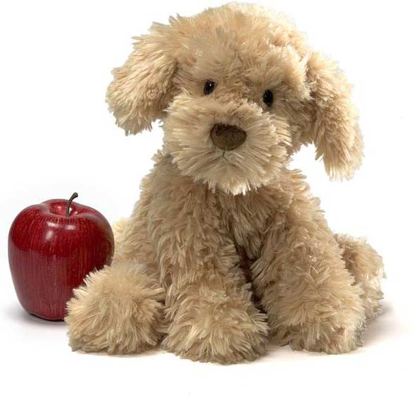 Nayla Cockapoo, 10.50"