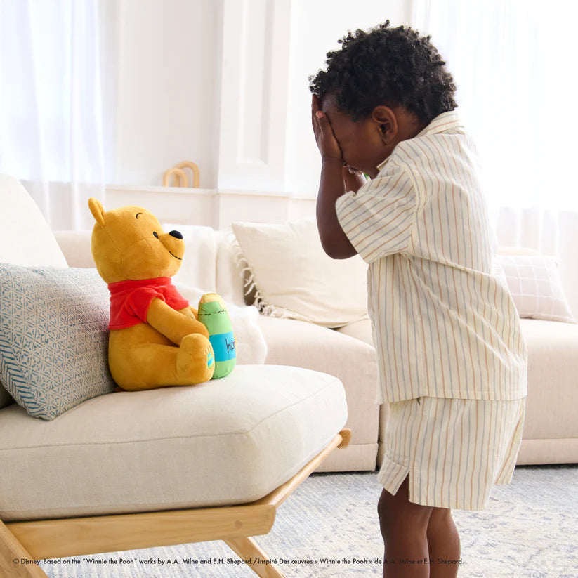 Peek A Boo Winnie The Pooh Plush