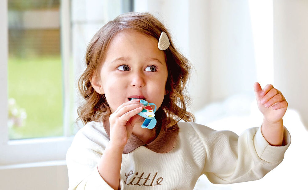 Rhythm & Hum Pocket Kazoo