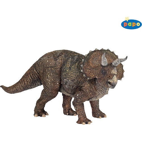 Triceratops