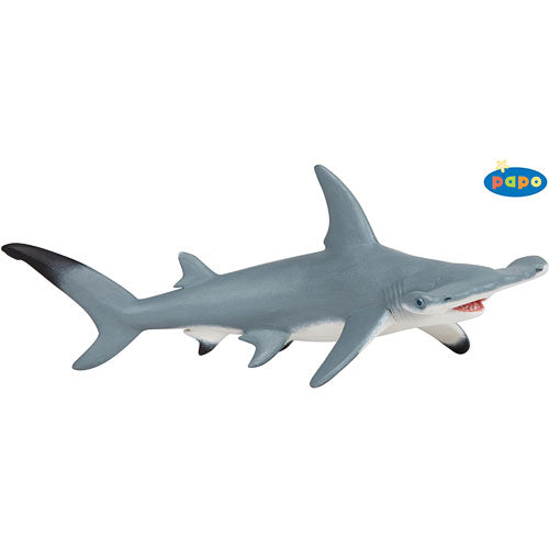 Hammerhead Shark