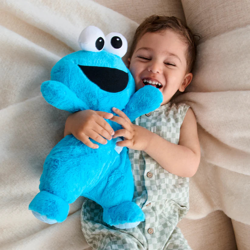 12.5In Cookie Monster Oh So Snuggly
