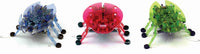 HEXBUG Beetle (assorted colors)