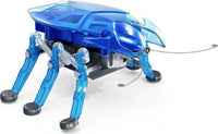 HEXBUG Beetle (assorted colors)