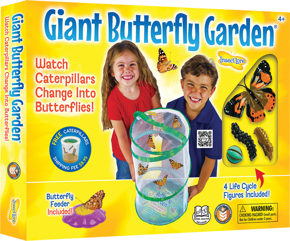 Giant Butterfly Garden with Life Cycle Figurines