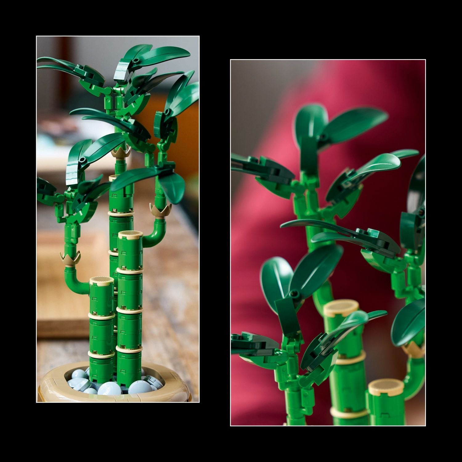 ソマダーム LEGO® Botanicals: Lucky Bamboo 10344 – Awesome Toys & Gifts