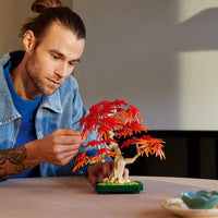 LEGO Botanicals: Japanese Red Maple Bonsai Tree
