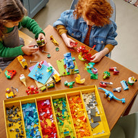LEGO® Classic Build Together Brick Building Set