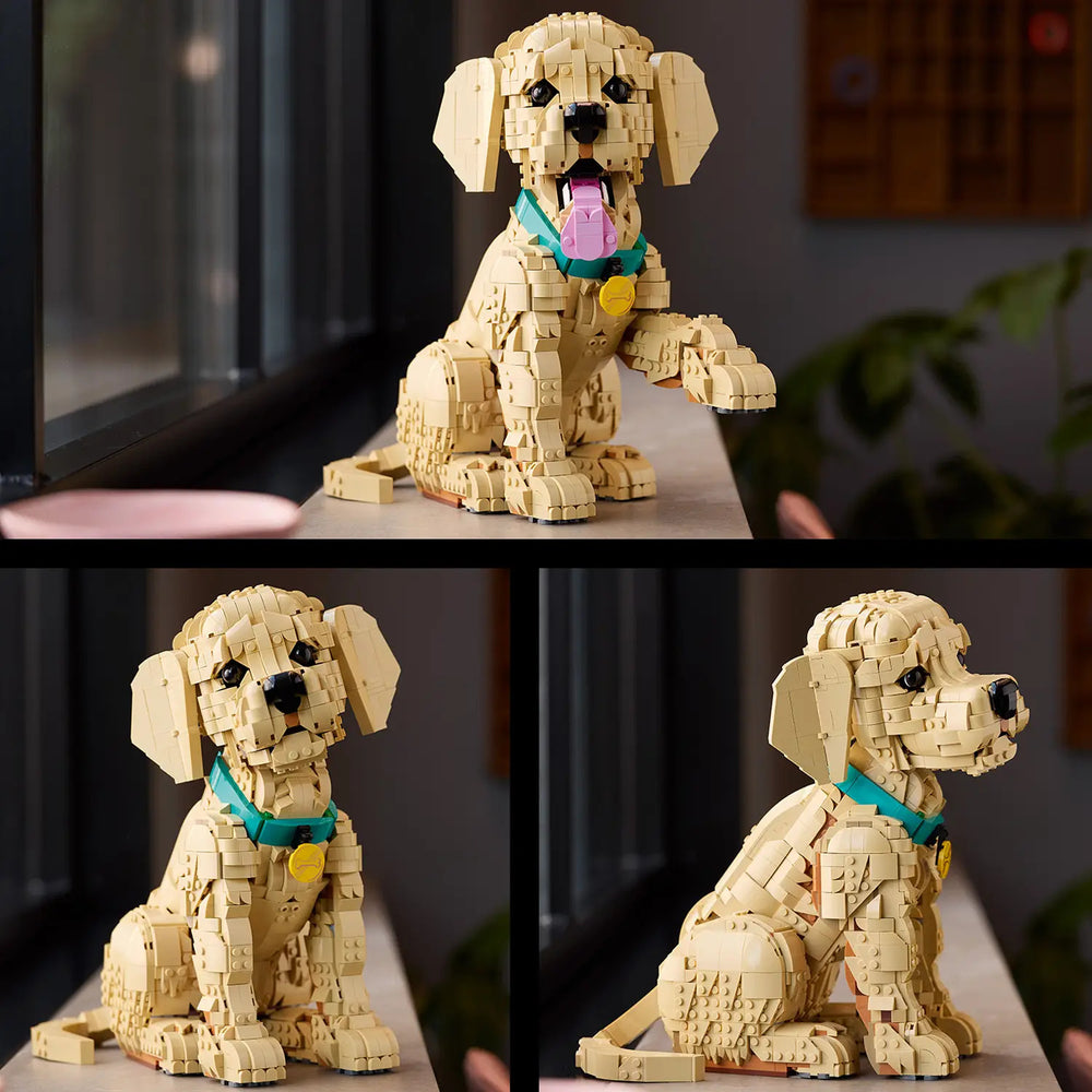 LEGO® Icons Golden Retriever Puppy