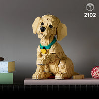 LEGO® Icons Golden Retriever Puppy