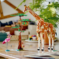 LEGO® Creator: Wild Safari Animals