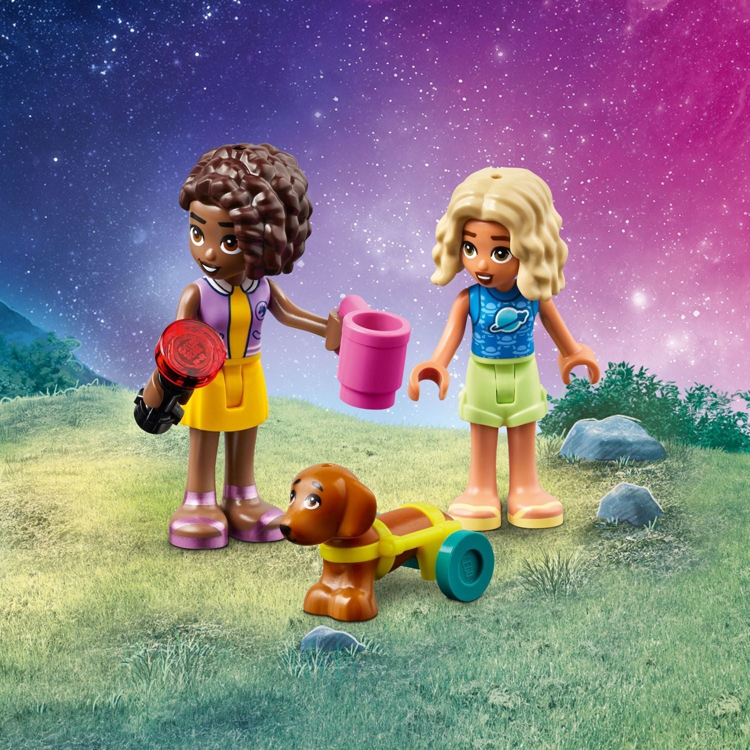 LEGO Friends: Stargazing Camping Vehicle