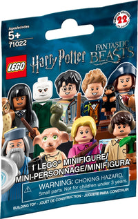 LEGO® Harry Potter And Fantastic Beasts