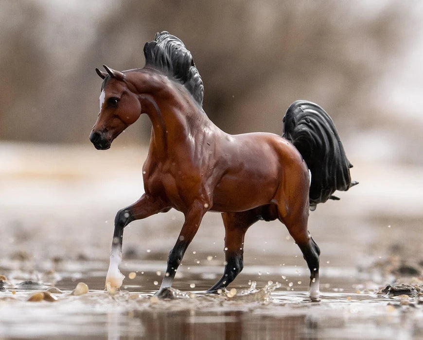 Mahogany Bay Arabian horse of my own
