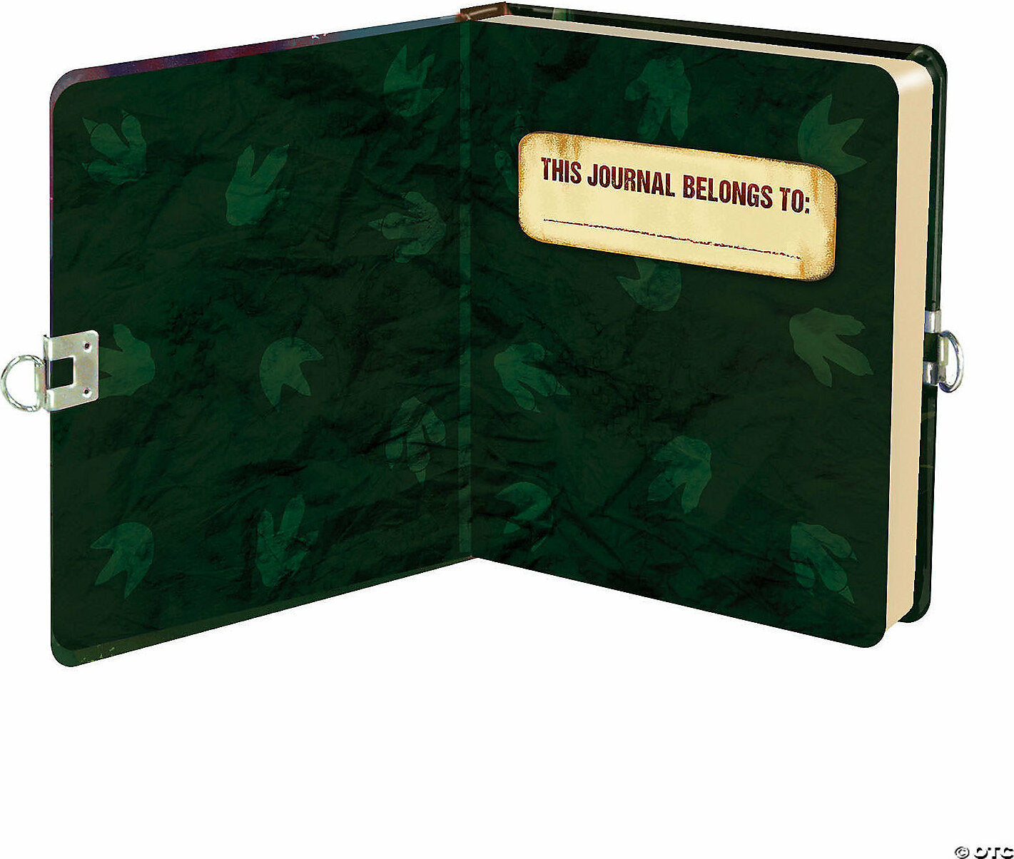 Glow-in-the-Dark Dinosaur Diary