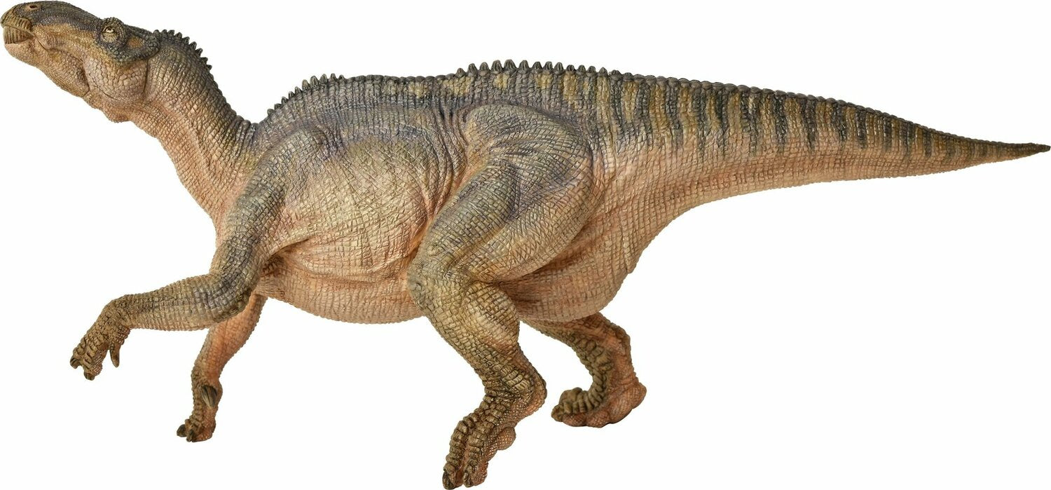 Iguanodon