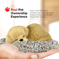 Mini Golden Retriever