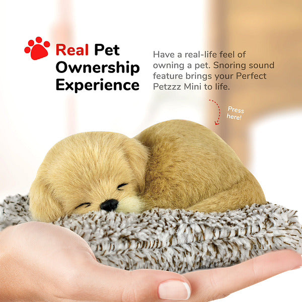 Mini Golden Retriever