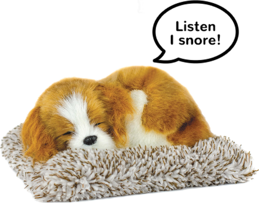 Mini Cavalier King Charles