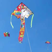 Large Easy Flyer Kite - Unicorn Flowers