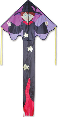 Large Easy Flyer Kite - Ned Wizard