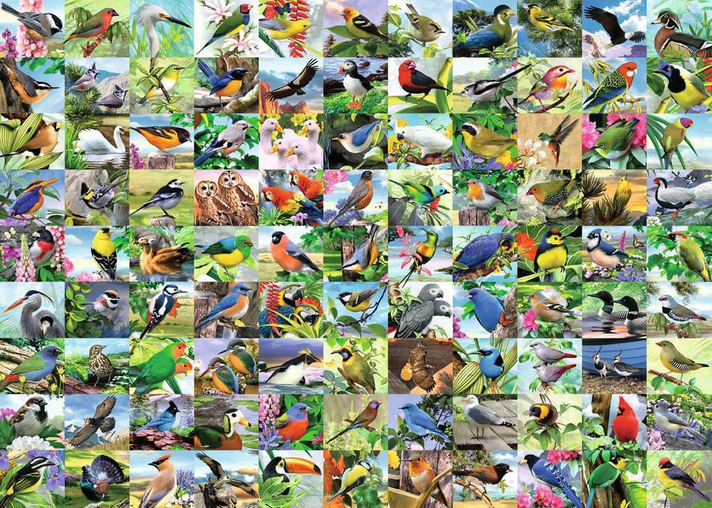 99 Delightful Birds (300 pc Large Format Puzzle)