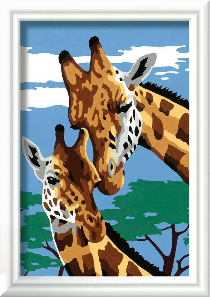 Cute Giraffes