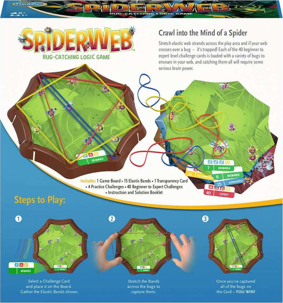 Spider Web game