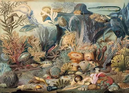 1000pc(R) Ocean Life