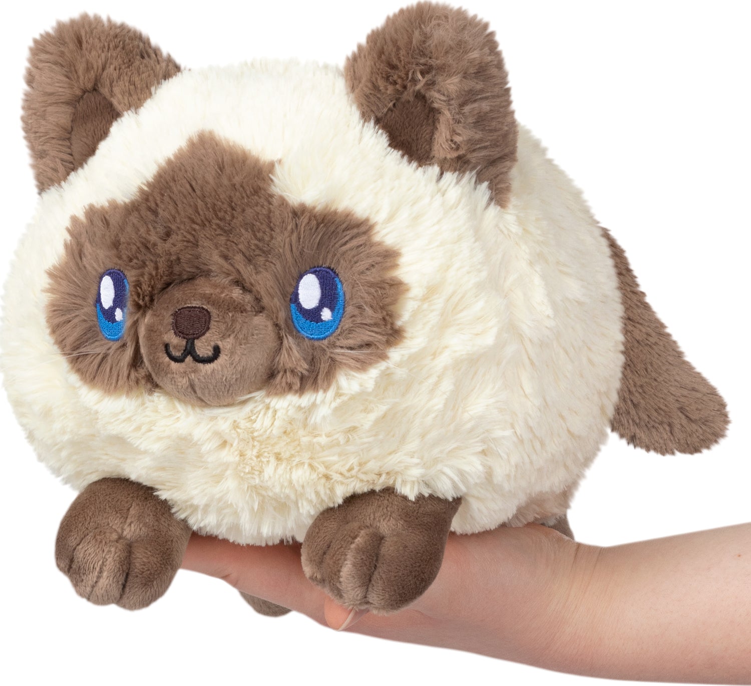 Mini Squishable Colorpoint Kitty