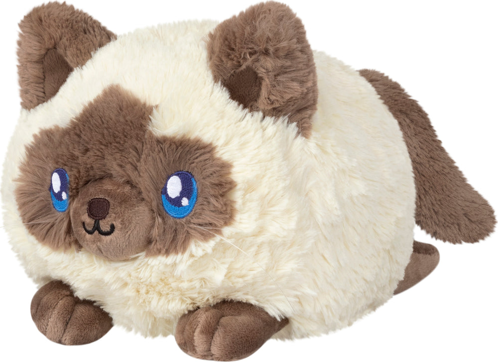 Mini Squishable Colorpoint Kitty
