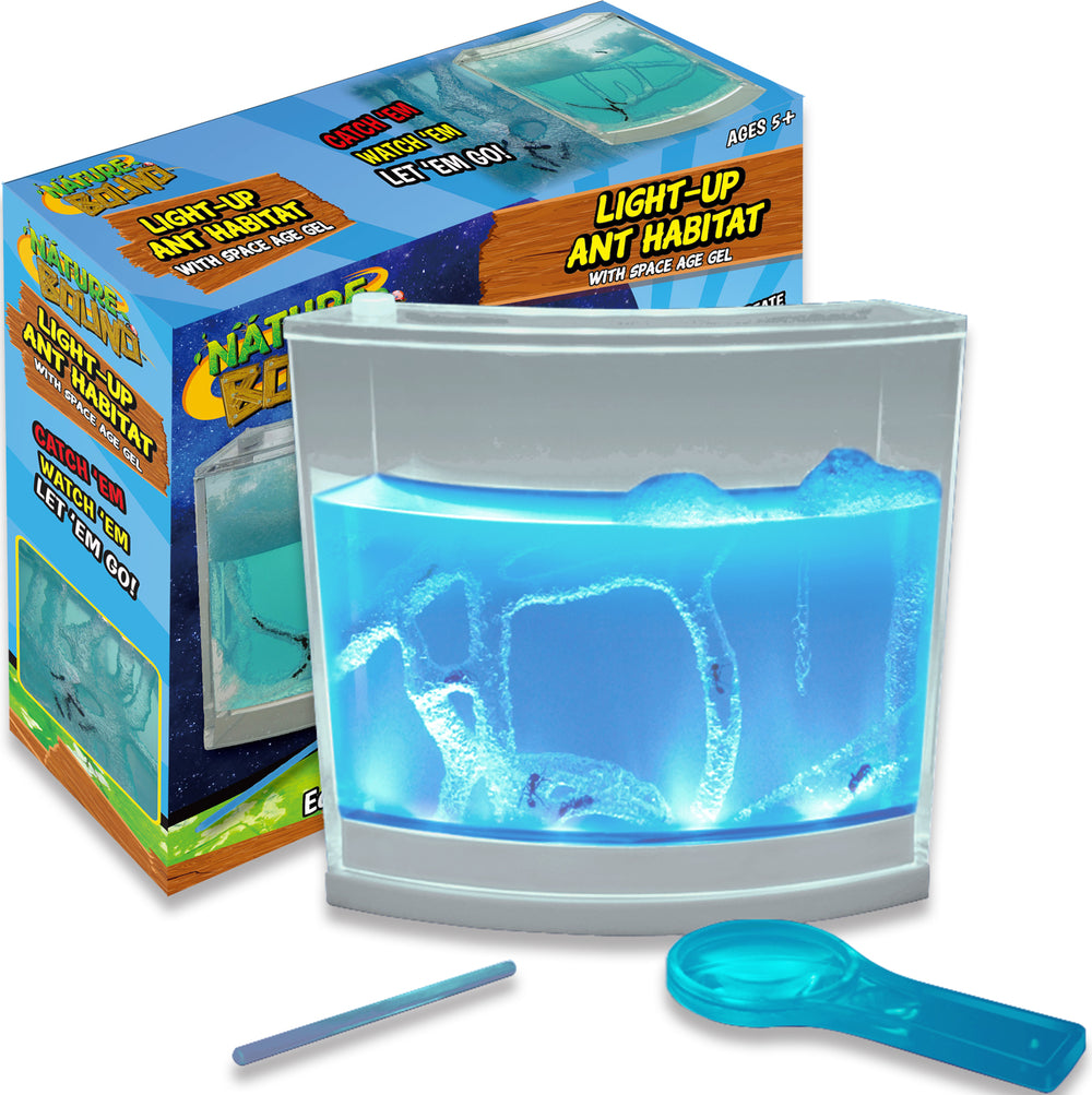 Light-Up Ant Habitat