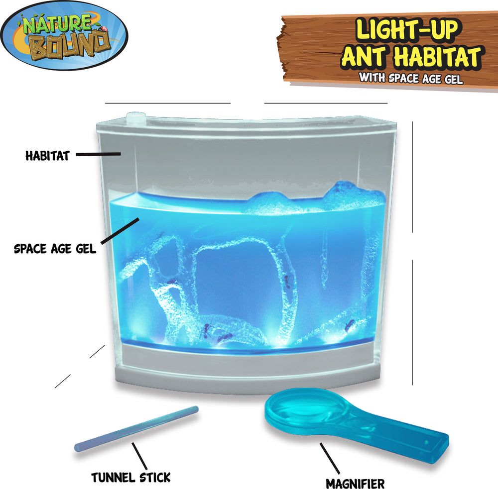 Light-Up Ant Habitat