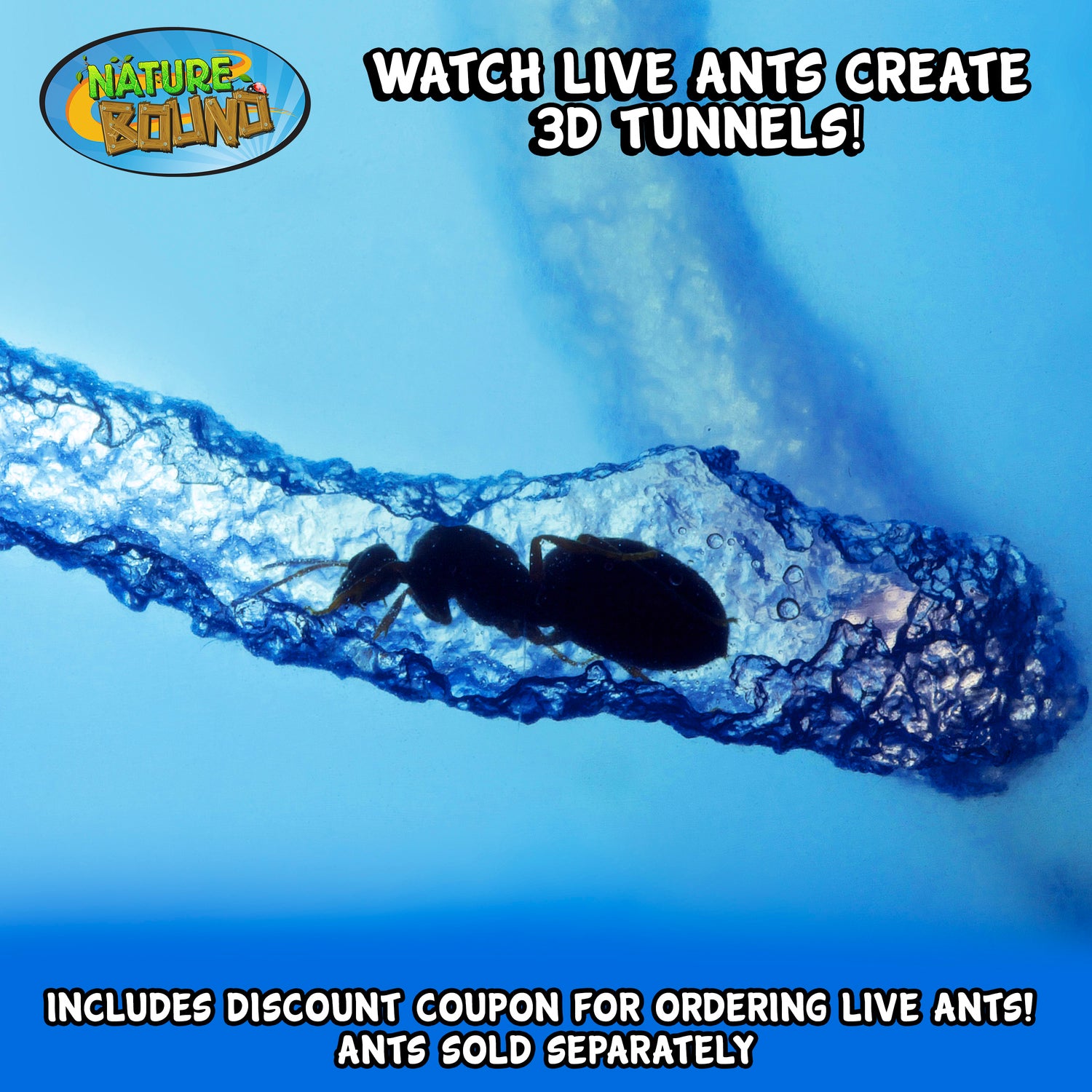 Light-Up Ant Habitat