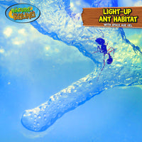 Light-Up Ant Habitat