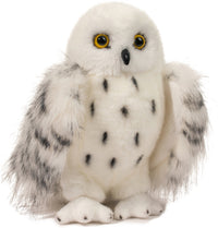 Douglas Wizard White Owl