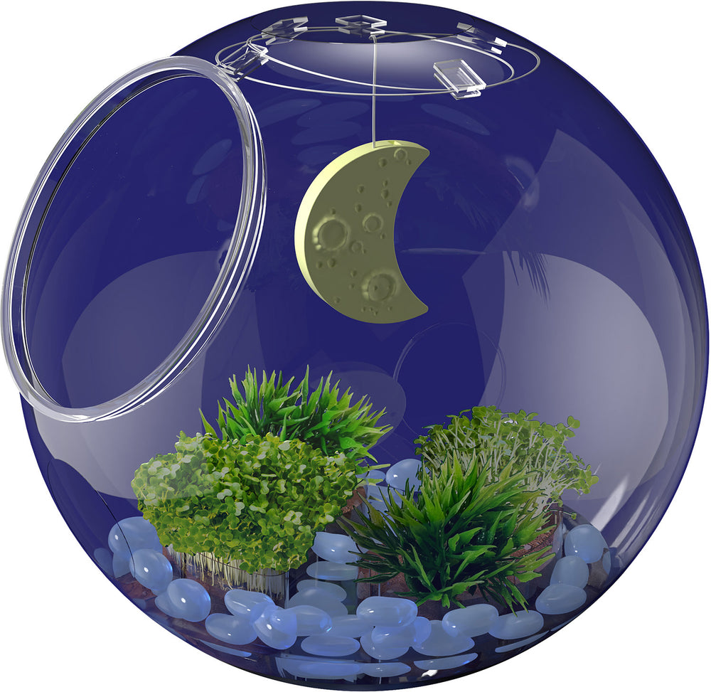 Wow in the World: Light-Up Terrarium