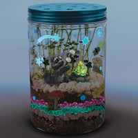 Grow N' Glow Terrarium