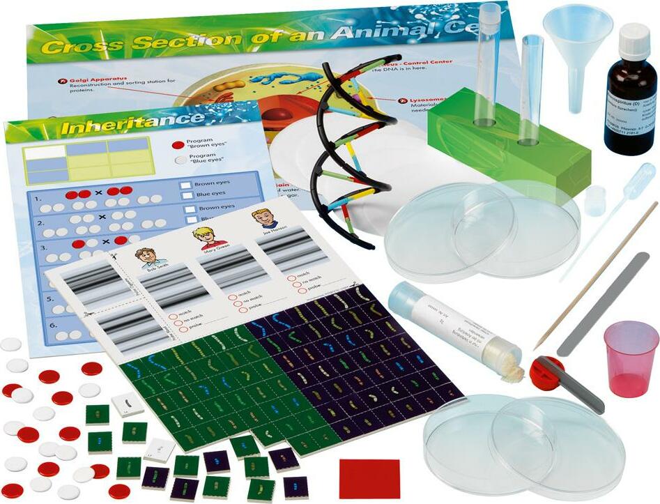 Genetics Dna Lab